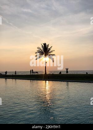 Eine vertikale Aufnahme einer Palme und Silhouetten von Menschen am Ufer gegen den Sonnenuntergang in Brunei Stockfoto