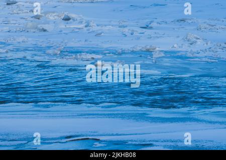 Eine Textur aus blauem Wellenwasser mit Eisstücken Stockfoto