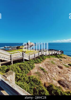 Eine Vertikale der Nobbies und eine hölzerne Promenade und die Bass Strait an einem sonnigen Tag Stockfoto