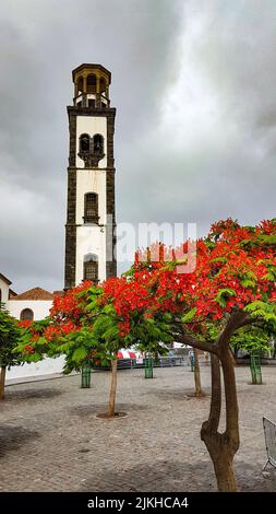 Eine vertikale Aufnahme des Glockenturms der Unbefleckten Empfängnis-Kirche in Santa Cruz de Teneriffa, Spanien Stockfoto