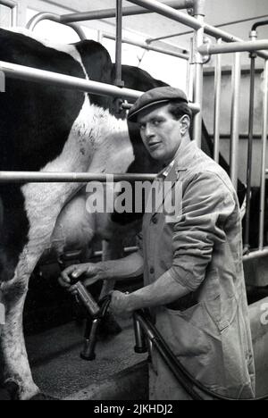 1960s, historisch, in einem Melkschuppen, ein Landwirt in Overalls und Stoffkappe, Melken einer Milchkuh mit einer elektronischen Milchpumpe, England, Großbritannien. Stockfoto