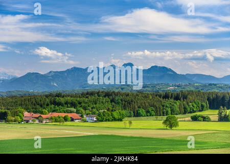 Deutschland, Bayern, Landkreis Rosenheim, Feldkirchen-Westerham, Kreis Wertach, Kulturlandschaft gegen Wendelstein Stockfoto