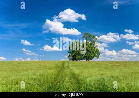 Deutschland, Bayern, Tölzer Land, Icking, Kreis Walchstadt, Aussichtspunkt Isartalverein Stockfoto