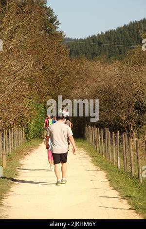 Eine vertikale Aufnahme von Menschen, die an einem sonnigen Tag in Atxondo auf einer Sandstraße durch den Wald wandern Stockfoto