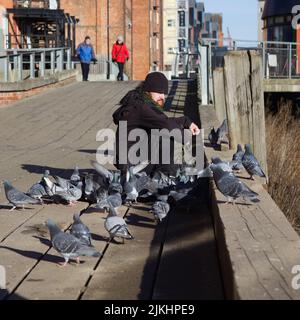 Ein Mann, der eine Gruppe von Tauben am Flussufer von Hull füttert Stockfoto