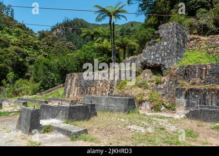 Überreste einer alten Stempelbatterie in Karangahake aus der vergangenen Goldrauschzeit, Coromandel Peninsula, Neuseeland Stockfoto