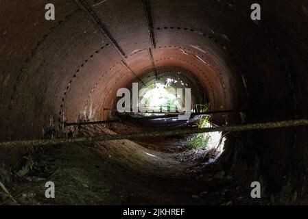 Überreste einer alten Stempelbatterie in Karangahake aus der vergangenen Goldrauschzeit, Coromandel Peninsula, Neuseeland Stockfoto