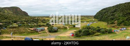 Wunderschöne Vegetation am Whatipu Strand in Auckland, Neuseeland Stockfoto