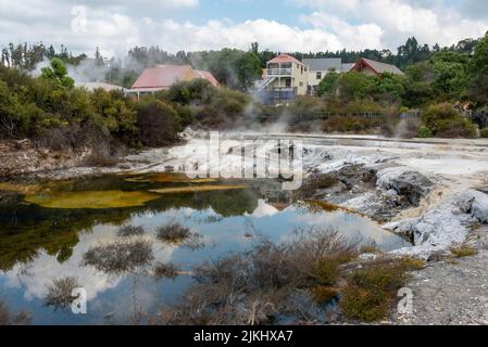 Geothermie-Feld mit Geysir im Dorf Whakarewarewa, Nordinsel Neuseelands Stockfoto