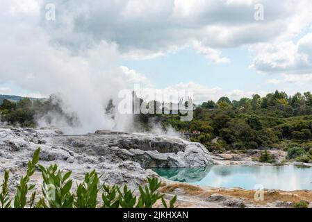 Geothermie-Feld mit Geysir im Dorf Whakarewarewa, Nordinsel Neuseelands Stockfoto