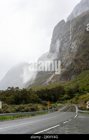 Regenwald umgeben von beeindruckenden hohen Bergen an einem regnerischen Tag, Milford Sound Highway, Südinsel von Neuseeland Stockfoto