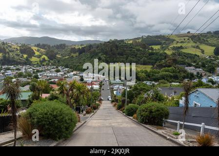 Die berühmte Baldwin Street in Dunedin, der steilsten Straße der Welt, Südinsel Neuseelands Stockfoto