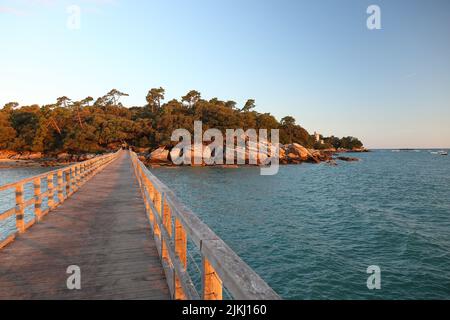 Ein schöner Blick auf einen hölzernen Steg auf eine kleine Insel Stockfoto