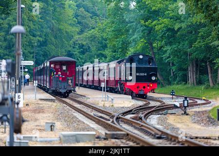 Dampfeisenbahn, Molli, Schmalspurbahn, Eisenbahn, Bahnhof, Kühlungsborn-West, Mecklenburg-Vorpommern Stockfoto