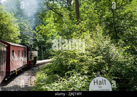 Dampfeisenbahn, Molli, Schmalspurbahn, Eisenbahn, Bahnhof, Kühlungsborn-West, Mecklenburg-Vorpommern Stockfoto