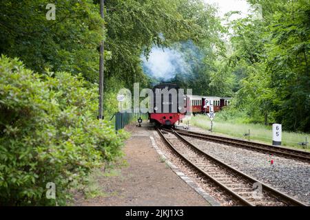 Dampfeisenbahn, Molli, Schmalspurbahn, Eisenbahn, Bahnhof, Kühlungsborn-West, Mecklenburg-Vorpommern Stockfoto