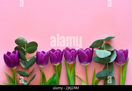 Eine Reihe von Tulpen und Eukalyptusblättern auf einem rosa Hintergrund mit Kopierfläche Stockfoto