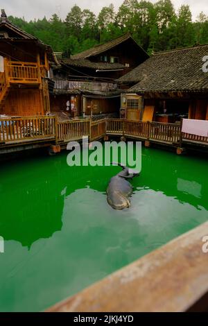 Eine schöne Aufnahme eines Blobs mit Bäumen im Wasser in den Shuanghe Höhlen, Guizhou, China Stockfoto