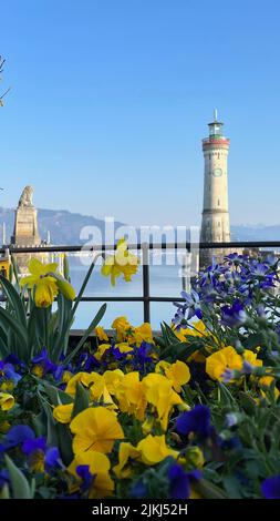 Der Leuchtturm Bodensee Lindau und der bayerische Eingang zum Löwenhafen Blick hinter Blumen Stockfoto