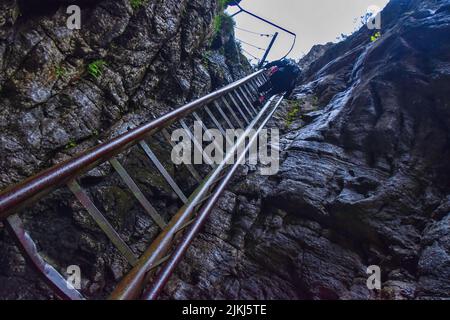 Ein niedriger Winkel eines Mannes, der eine Leiter in den Bergen der Slowakei klettert Stockfoto