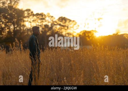 Ein afroamerikanischer Mann, der im Sonnenuntergang auf dem hohen, trockenen Grasfeld steht. Stockfoto