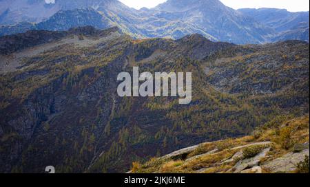 Ein Blick von einem Berggipfel auf eine wilde Landschaft am Tag. Stockfoto