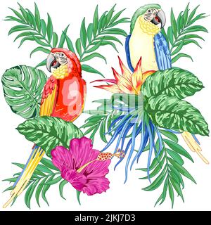 Ein lebendiger Ara Papageien zwischen tropischen Blumen und Pflanzen auf weißem Hintergrund Stockfoto