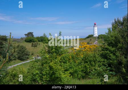 Deutschland, Mecklenburg-Vorpommern, Ostsee, Insel Rügen, Insel Hiddensee, Leuchtturm auf der Dornbusch Stockfoto