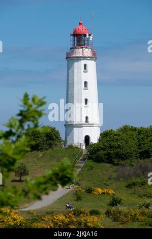 Deutschland, Mecklenburg-Vorpommern, Ostsee, Insel Rügen, Insel Hiddensee, Leuchtturm auf der Dornbusch Stockfoto