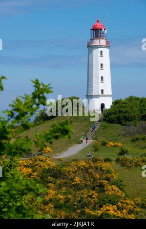 Deutschland, Mecklenburg-Vorpommern, Ostsee, Insel Rügen, Insel Hiddensee, Leuchtturm auf der Dornbusch Stockfoto