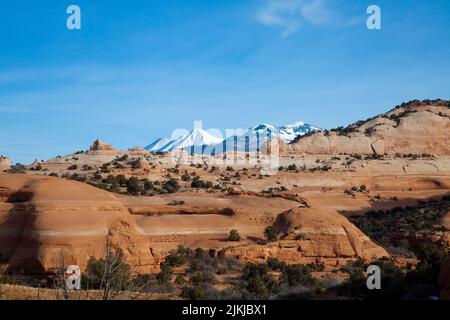 La Sal Bergkette neben den roten Felsen von Canyonlands außerhalb von Moab, Utah. Heimat der Anasazi-Kultur Stockfoto