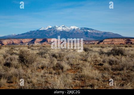 La Sal Bergkette neben den roten Felsen von Canyonlands außerhalb von Moab, Utah. Heimat der Anasazi-Kultur Stockfoto