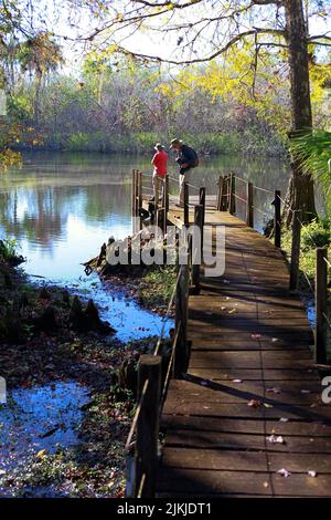 Eine Vertikale eines Volkes auf einem Holzpfad an einem See im Fakahatchee Strand State Preserve in Copeland, Florida Stockfoto