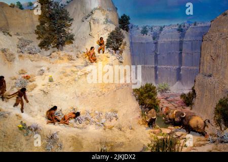Die Museumsmodellausstellung zeigt, wie Anasazi-Jäger Büffelherden in schachtelte Canyons einsperrten und lange Speere verwendeten, um die Tiere zu Fall zu bringen Stockfoto