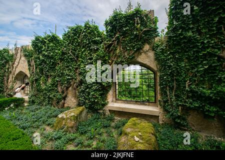 Eine alte Mauer mit grünen Büschen und Pflanzen bedeckt Stockfoto