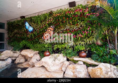 St. Petersburg, Florida 14. Januar 2021: Farbenfrohe vertikale Gartenmauer am Eingang des Salvador Dali Museums in St. Petersburg, Florida Stockfoto