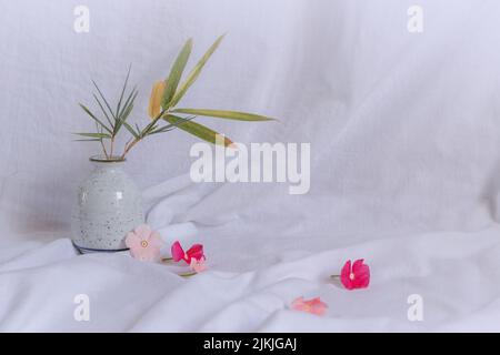 Komposition aus zierlichen Periwinkle-Blüten auf einem hellen weißen Hintergrund, die eine frische und ruhige Frühlingsthetik zeigen Stockfoto