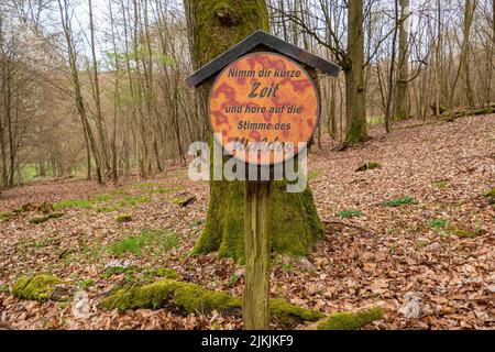 Saar-Hunsrück Traumschleife, Mannebach 111 Wanderweg, Mannebach, Fisch, Saarburger Land, Rheinland-Pfalz, Deutschland Stockfoto