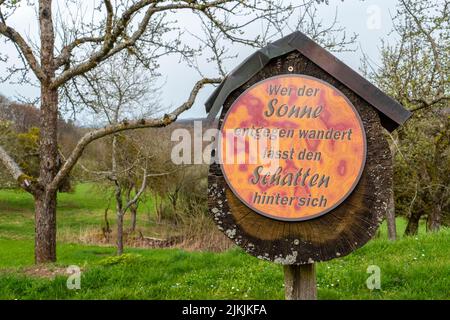 Saar-Hunsrück Traumschleife, Mannebach 111 Wanderweg, Mannebach, Fisch, Saarburger Land, Rheinland-Pfalz, Deutschland Stockfoto