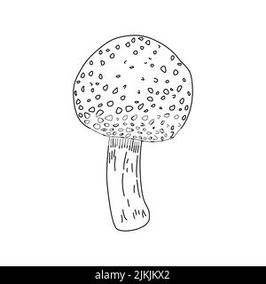 Symbol Pilz mit gefüllten Linienstil isoliert Zeichen Symbol Vektor Illustration Stock Vektor