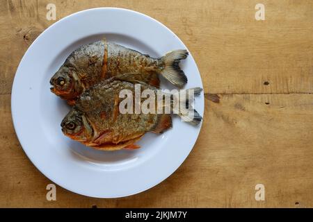 pomfret auf weißem Teller mit Holztisch Stockfoto