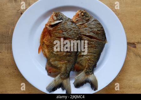 pomfret auf weißem Teller mit Holztisch Stockfoto