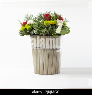 Ein Strauß wunderschöner Blumen in einem weißen Blumentopf auf weißem Hintergrund. Stockfoto