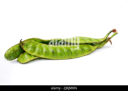 Parkia speciosa isoliert auf weißem Hintergrund Stockfoto