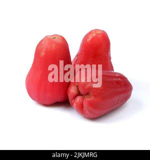 Rosenapfel oder Wasserguava isoliert auf weißem Hintergrund Stockfoto