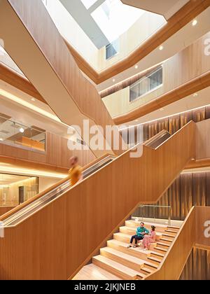 Freischwinger im Atrium in voller Höhe. Dorothy Crowfoot Hodgkin Building, Oxford, Vereinigtes Königreich. Architekt: Hawkins Brown Architects LLP, 2021. Stockfoto