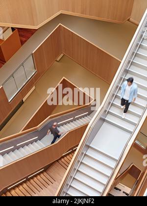 Freischwinger im Atrium in voller Höhe. Dorothy Crowfoot Hodgkin Building, Oxford, Vereinigtes Königreich. Architekt: Hawkins Brown Architects LLP, 2021. Stockfoto