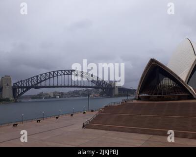 Das Sydney Opera House ist ein Zentrum für darstellende Kunst in Sydney mit mehreren Veranstaltungsorten. Am Ufer des Hafens von Sydney gelegen Stockfoto