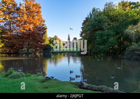 Blick auf den Parco Sempione, den größten Park in Mailand während der Herbstsaison, Italien Stockfoto