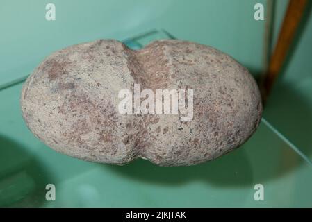 Anasazi Steinartefakt eines Mauls, der als Bauwerkzeug verwendet wurde, um Häuser zu bauen und Steine zu Formen. Mesa Verde National Park Museum, Colora Stockfoto